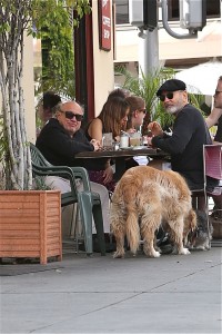 Danny DeVito At Lunch