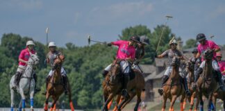 greenwich polo club,new york gossip gal