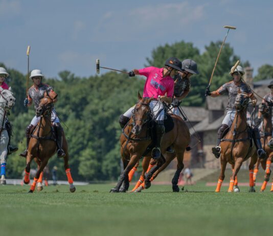 greenwich polo club,new york gossip gal